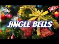 🌲 JINGLE BELLS REMIX [ LAGU NATAL TERBARU 2024] DJ RYFALL RMX 🌲