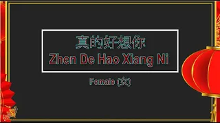 Download 真的好想你 (Zhen De Hao Xiang Ni) Female Version - Karaoke mandarin MP3