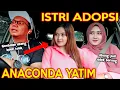 Download Lagu PRANK SHOLAWAT ADOPSI BINI TETANGGA !! ANAK YATIM JADI ANACONDA