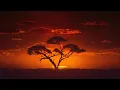 Lagu Sunrise in the African Savanna