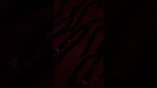 الفنان الشقاوي الدوسري يا هاجرنا خاف الله 