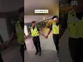 Download Lagu The security guards can't help themselves from singing Dancing Queen