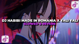 dj habibi made in romania x yali yali slowed u0026 reverb sound viral tiktok 