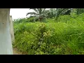 Download Lagu [Toilet Ride] Kereta api Putri Deli Pagi Tanjung Balai - Medan