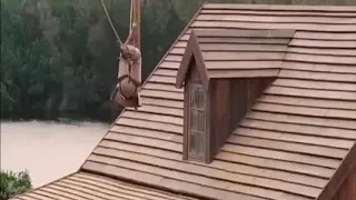 فيلم الكلاب المسعورة رعب تم نشر الفلم كاملا في القناة لمن يرغب بمشاهدته كاملا لا تنسى الإشتراك 