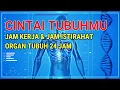 Download Lagu JAM KERJA ORGAN TUBUH MANUSIA DALAM 24 JAM | TUBUH PERLU ISTIRAHAT | TIPS SEHAT DAN PANJANG UMUR
