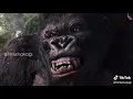 Film - King Kong
