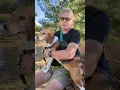 A Heartwarming story of how Esme went from Lab to Lap