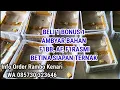 Download Lagu BELI 1 BONUS 1 RASMIBB, AF, AFS, F1RASMI, YSBB, BETINA SIAPAN TERNAK 
