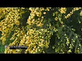 Four Tet - Into Dust (Still Falling)