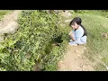 Download Lagu 贵州深山发现一洞穴，每天居然会不定时涨水三次，这是真的吗？【青云迹】