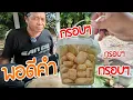 Download Lagu ไม่เคยกิน !! ไม่รู้ว่ามันคืออะไร แต่กินอร่อยมาก ไม่ต้องเอาก้างออก!!