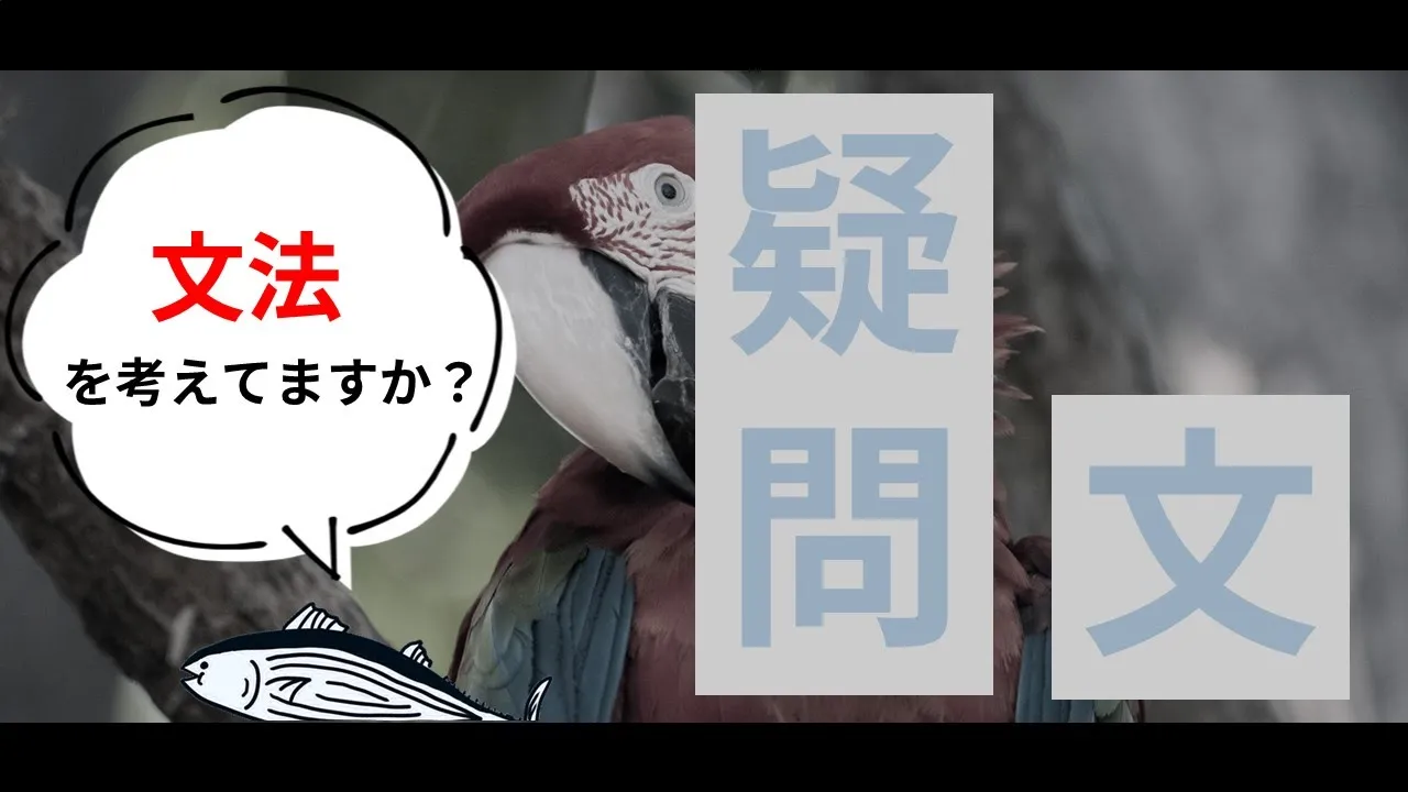 疑問文を表す時の"ルール"って? | #083