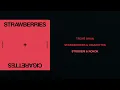 Download Lagu Troye Sivan - Strawberries \u0026 Cigarettes (Lirik Terjemahan)