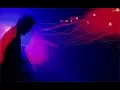 Download Lagu Sexepil - Your Little Revolution (lyric video)