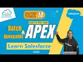 Batch Apex and Queueable Apex Salesforce Developer Tutorial 14
