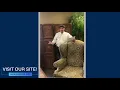 How to CRUSH Your Job Interview staffing agency near me now arkansas staffing agencies