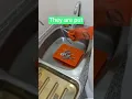 Step 5 of sterilization Antiseptic Disinfection