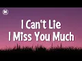 Download Lagu i can't lie i miss you much tiktok song