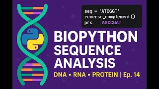 Sequence Analysis with Biopython DNA RNA Protein Bioinformatics Ep 14