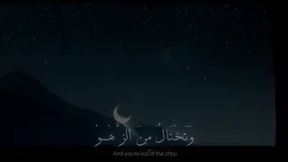 أما نادي بك الموت   أحمد عبد الحي   دندنها