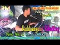 Lagu Lagu bugis electone || Paddoangeng Ribotting (Cover) Dj Idris Jhories | Riswana Music