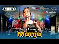 Lagu MANJA NELLA ROSMALA DHEHAN PRO Ft ANDHITA MUSIK LIVE PASINAN DADAP SEKARGADUNG PUNGGING MOJOKERTO