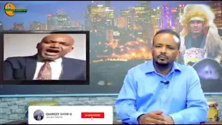 abbaa gingilcha 126ffa hangaasa ibrahimiif 