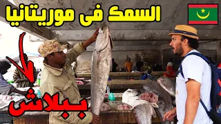السمك في موريتانيا ببلاش 