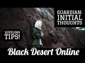 Black Desert Online BDO Guardian Leveling Tips and First Impressions