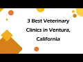 3 Best Veterinary Clinics in Ventura California Animal Hospitals