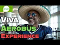 Flying Viva Aerobus What Expats Travelers Need to Know
