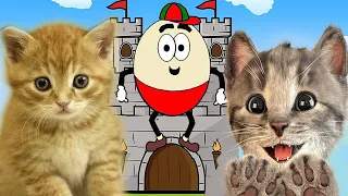Kitten Humpty Dumpty Animation English Kids Songs