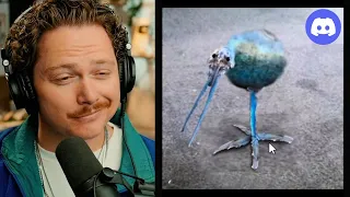 Cursed Discord Memes