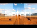 Safari (Inspired By Ria Ellinidou) Dj Z24 | Official Audio 