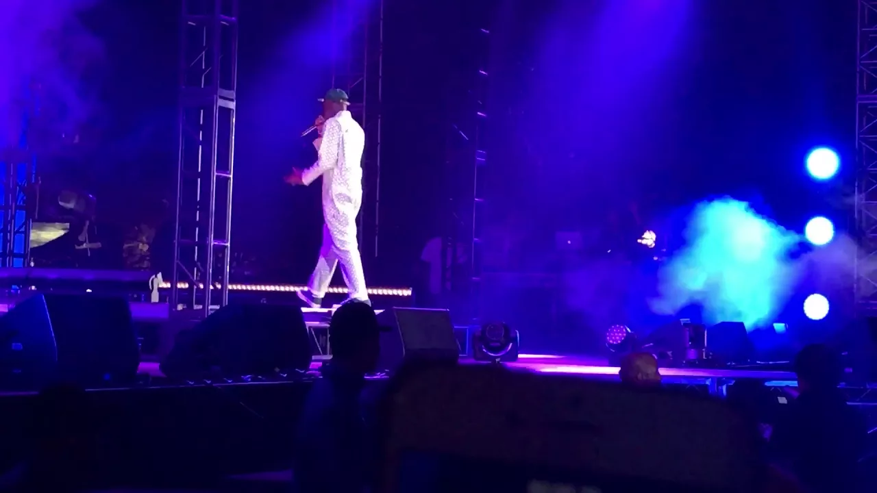 Tyler, The Creator - 911 / Mr. Lonely (Live at Camp Flog Gnaw 2017 Tyler, The Creator - 911 / Mr. Lonely (Live at Camp Flog Gnaw 2017