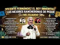 Vicente Fernández  20 Rancheas De Pegue DJ Nel Fajardo Mix