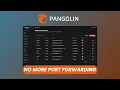 Pangolin Free Open Source Alternative to Cloudflare Tunnels