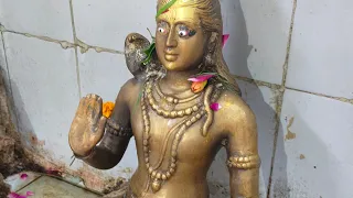 5000 साल पुराना प्रसिद्ध शिव मंदिर लाइव है 