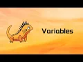 Zig Variables Tutorial 05