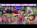 Download Lagu TIDAK ADA YANG GAGAL HASIL KEBUN TAHUN INI SEMUA BAGUS, SAATNYA PANEN UBI YANG MELIMPAH