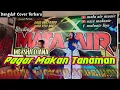 Lagu PAGAR MAKAN TANAMAN (Mansyur S) - Meysha Diana | Dangdut Cover @THEMataAir