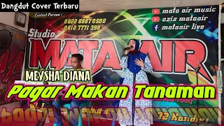 Download PAGAR MAKAN TANAMAN (Mansyur S) - Meysha Diana | Dangdut Cover @THEMataAir MP3