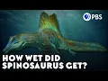Download Lagu Why Paleontologists Can’t Stop Fighting About Spinosaurus