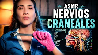 ASMR NERVIOS CRANEALES realista y completo | Asmr Roleplay 4k