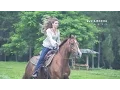 Download Lagu Clip Júlia Rocha 15 anos