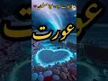 Download Lagu 🕌 Muslim Ka Pehchan = Wada Nibhana ❤️ | Dr Israr Ahmed#viral#trending#drisrarahmed#viral #trending