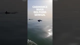 Sailing the Casamance River with friends #windedvoyage #sailinglifestyle #africatravel #senegal