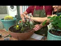 Bernini 3pc Easy Grip Ergonomic Garden Tools on QVC