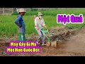 Download Lagu 2Qvlogs||Máy cầy mini được tái xuất|| Vợ Chồng Antonio nuôi thêm Lợn||Cuộc sống Châu Phi